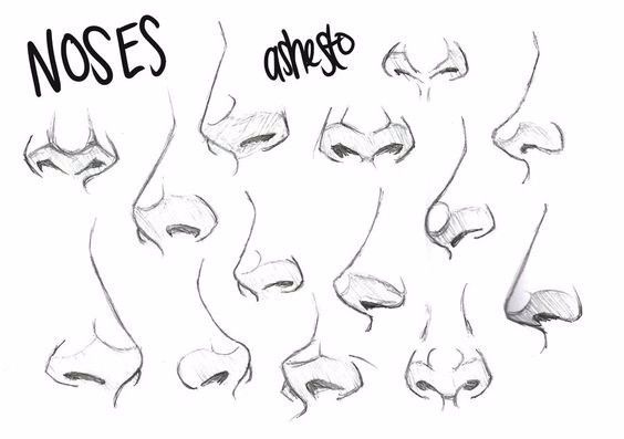 通过不同结构鼻子的角度练习,让你掌握鼻子的绘画方式,让学习更