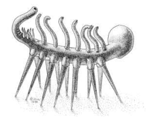 寻奇录看奇虾也就图一乐真怪物还是在异虫纲
