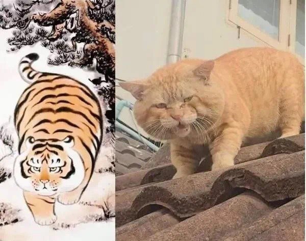 搞笑图片太平公主但是我可以