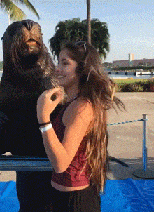 这狗…挺大带尺子买菜,这个妹