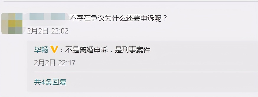 32岁毕畅守活寡朱砂痣隋宏洋判刑14年赵本山痛下决心