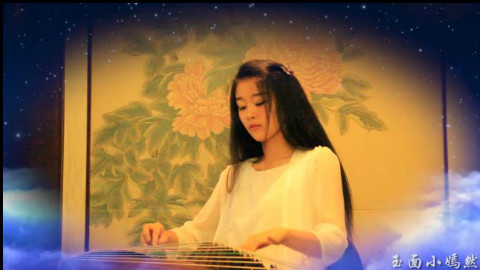 流星雨 古筝--玉面小嫣然- - AcFun弹幕视频网
