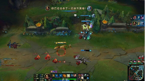 【英雄联盟】豹女打野 你的野区我做主 - AcFu