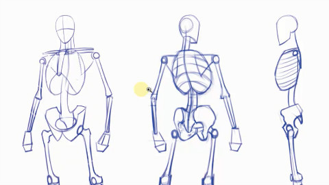PS厚涂&人体基础绘画设计教程第二集 【XRC