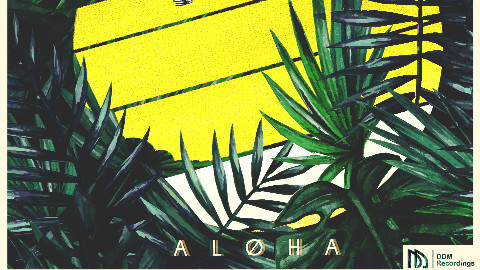 Mme feat. Merryn Jeann | Aloha - AcFun弹幕视频网 - 认真你就输啦 (ω)ノ- ( ゜- ゜)つロ