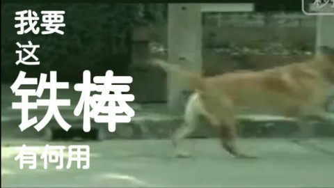 我要这铁棒有何用绿帽当空.. - AcFun弹幕视频网 - 认真你就输啦 (ω)ノ- ( ゜- ゜)つロ