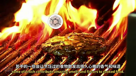【中字】最美味的化学反应--美拉德反应@阿尔