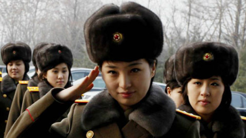 电视_视频在线观看-爱奇艺搜索