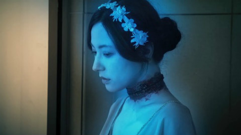 有客到国语_视频在线观看-爱奇艺搜索