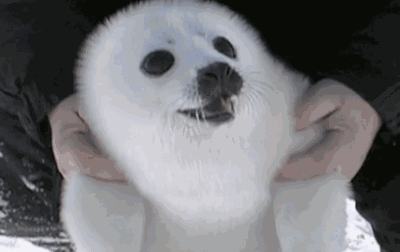 小蟹姐姐