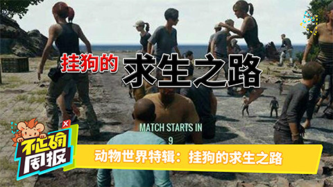 我的世界老黑绝地求生_视频在线观看-爱奇艺搜