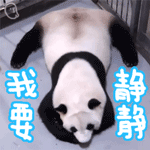 【每日gif吐槽】太感动了,这学期食堂阿姨终于不手抖了!
