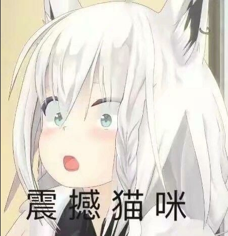 〔表情包系列〕第2弹 白上吹雪表情包,沃系猫咪不系狐狸!喵呜