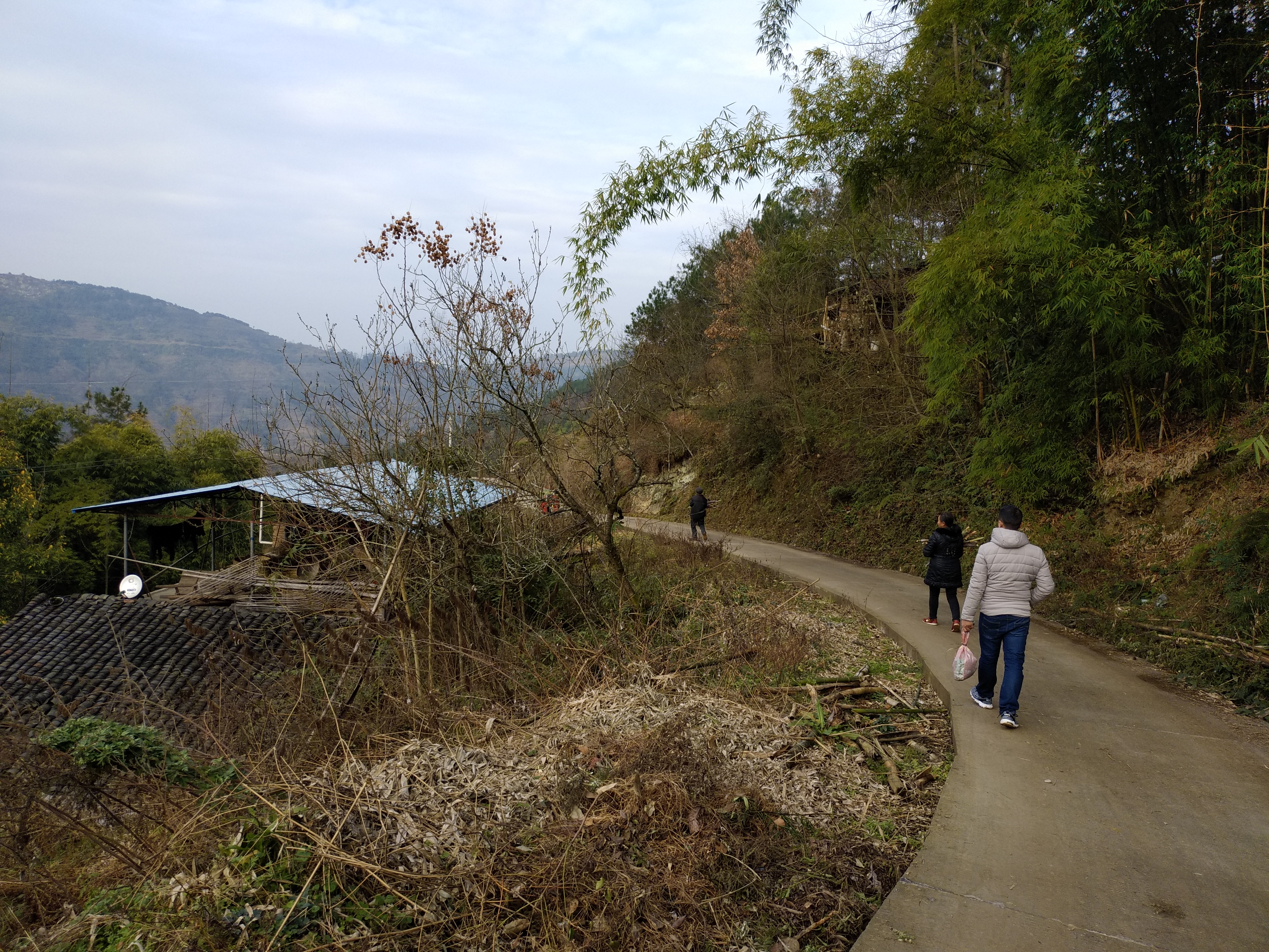 重庆农村的某个山咔咔随拍