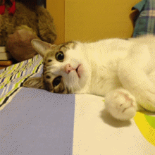 【今日萌图】怎么才能不经意让国足看到这个