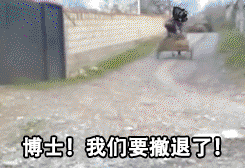 点赞