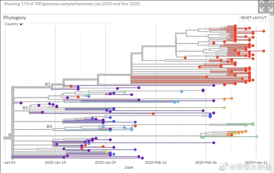 gisaid公布了最新的新冠病毒进化图谱