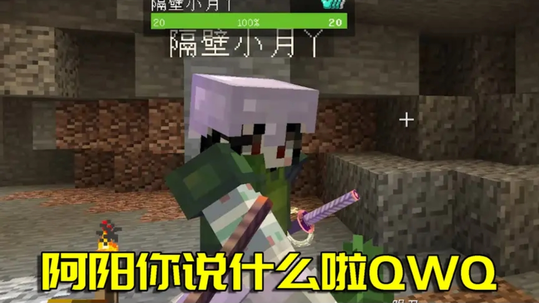 阿阳精分了.