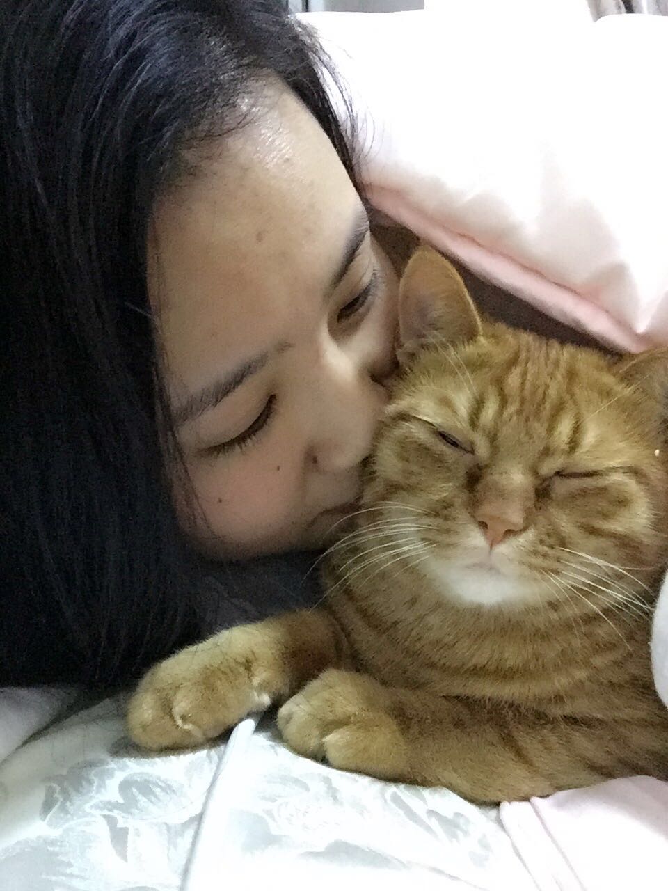 喵酱和她的大橘猫的撸猫日常 - AcFun弹幕视频