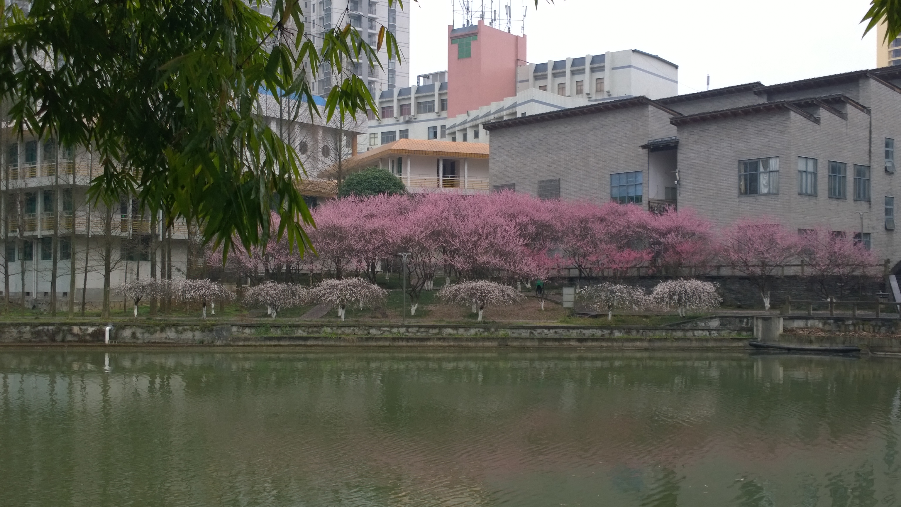 吉首大学-学路网-学习路上 有我相伴