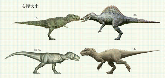 8米;棘龙头长2.4-2.5米(正好是现实里最新的最大个体头骨大小),臀高5.