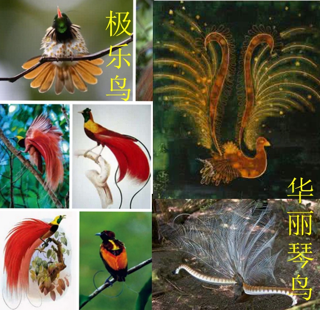 山海经风物志 之 "活着"的山洞?