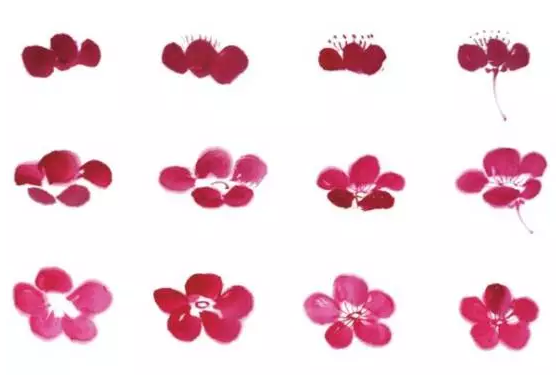 干货丨国画中“梅花”的画法 - AcFun弹幕视频网 - 认真你就输啦 (ω)ノ- ( ゜- ゜)つロ