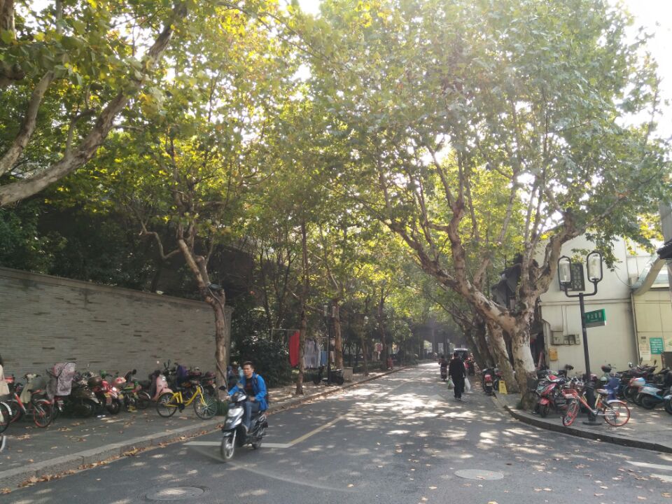 中山南路街景太庙巷