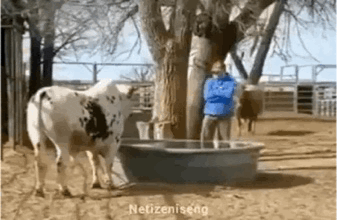 那些搞笑的gif278