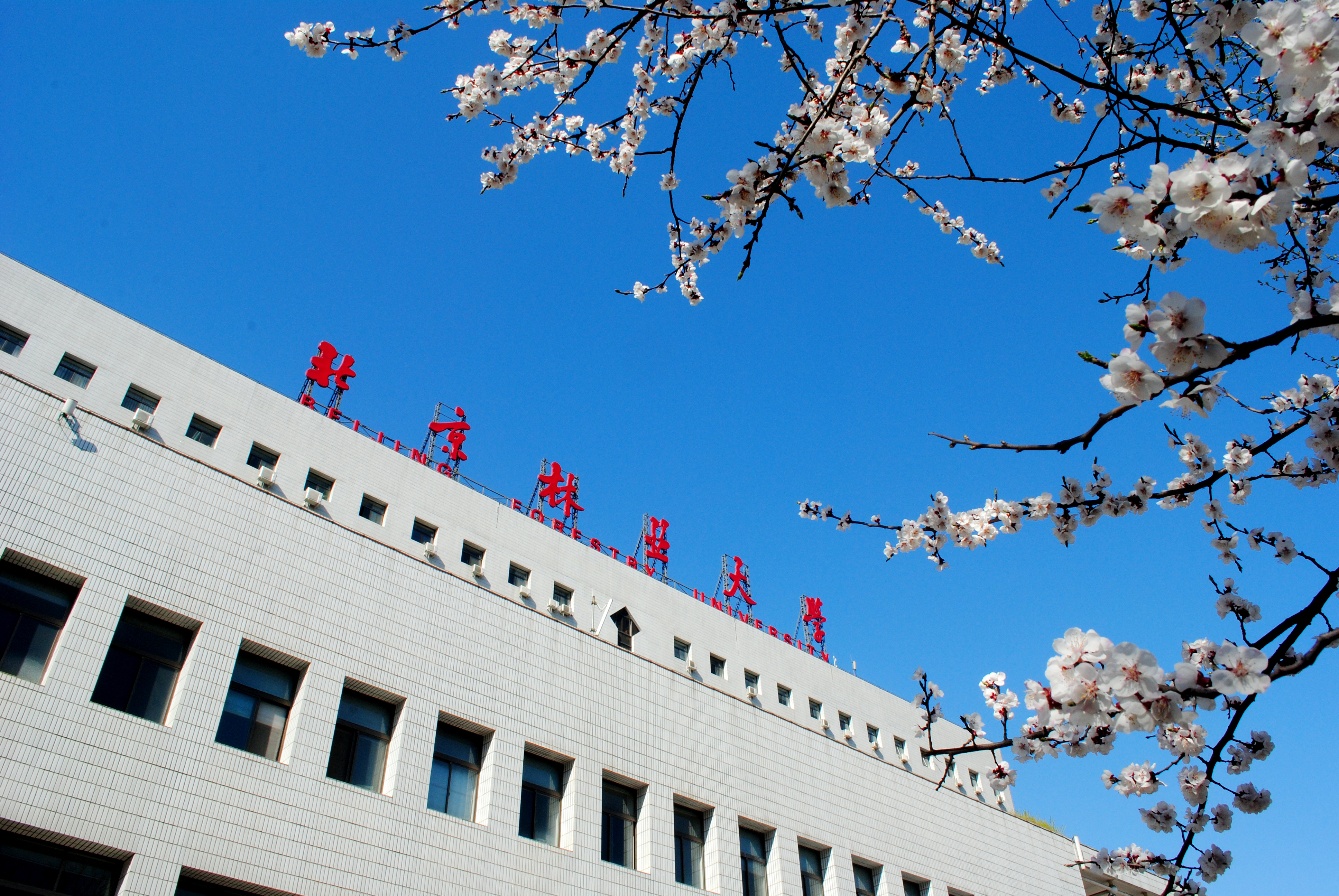 2021级北京林业大学动漫考研信息和2020级真题