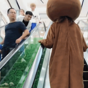 300_300gif 动态图 动图