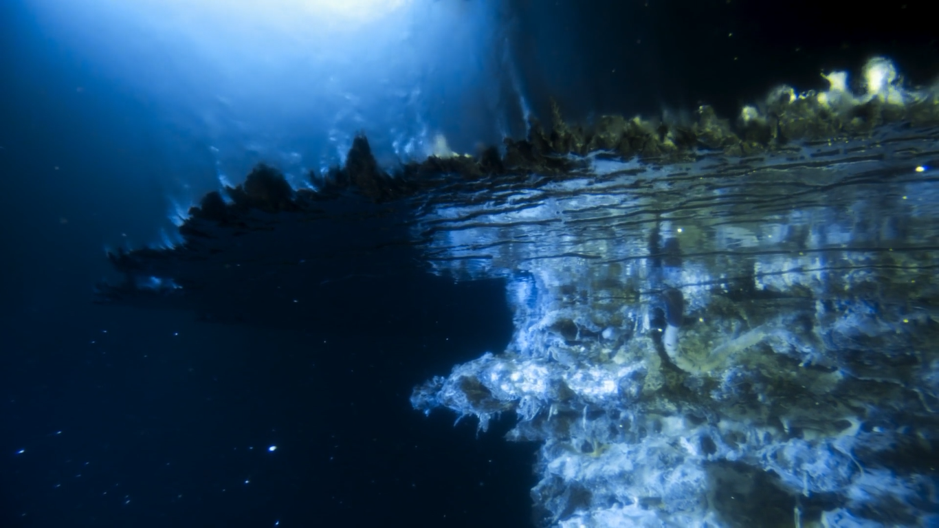 bbc《蓝色星球2》第二集"深海"up自截壁纸