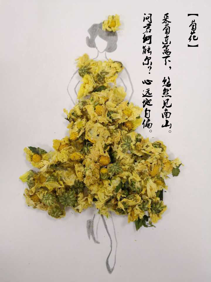 国风:中草药花瓣作画,美爆了!煮粥泡茶吟诗,中医药学博大精深