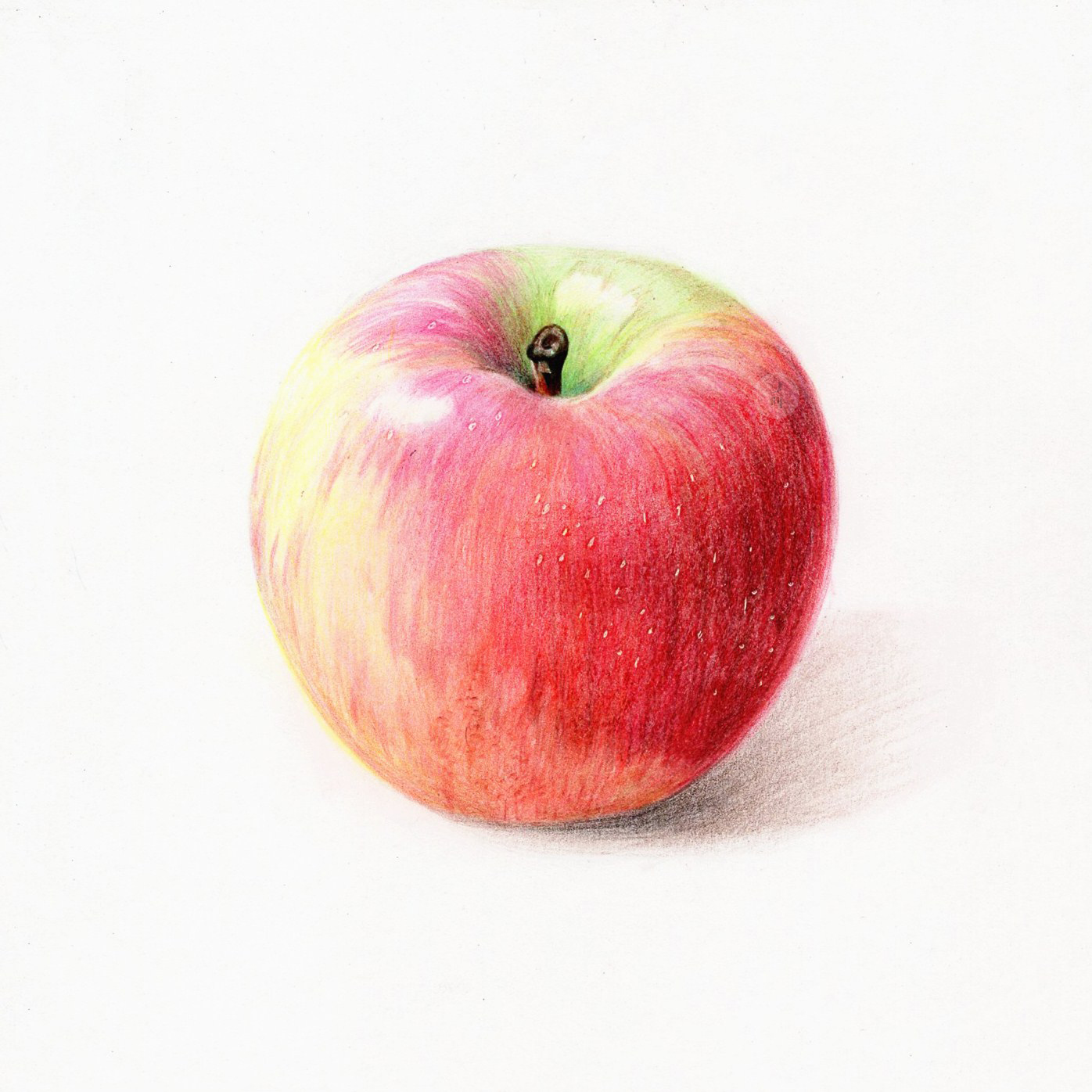 【彩铅】素描苹果画腻没,要不要搞一搞彩铅的苹果呀(～『～)