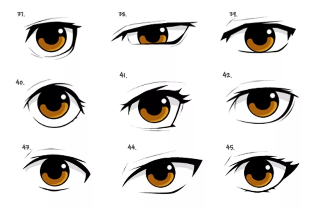 60种眼睛示例,各种形态的眼睛一篇全搞定!