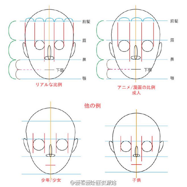 (6)头部形状画法(二:先根据头部上宽下窄的规律,用两个不同大小的