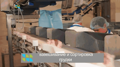 据悉这种流水线 一小时能处理6000只鸡, 速度简直鹅妹子嘤.