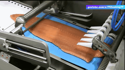 想要切出大小均匀而且完整的鱼片, 人类总需要一定的练习与经验积累