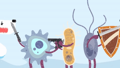 埃及新出土2000年前的棺材中藏了什么?把3万网友馋哭了