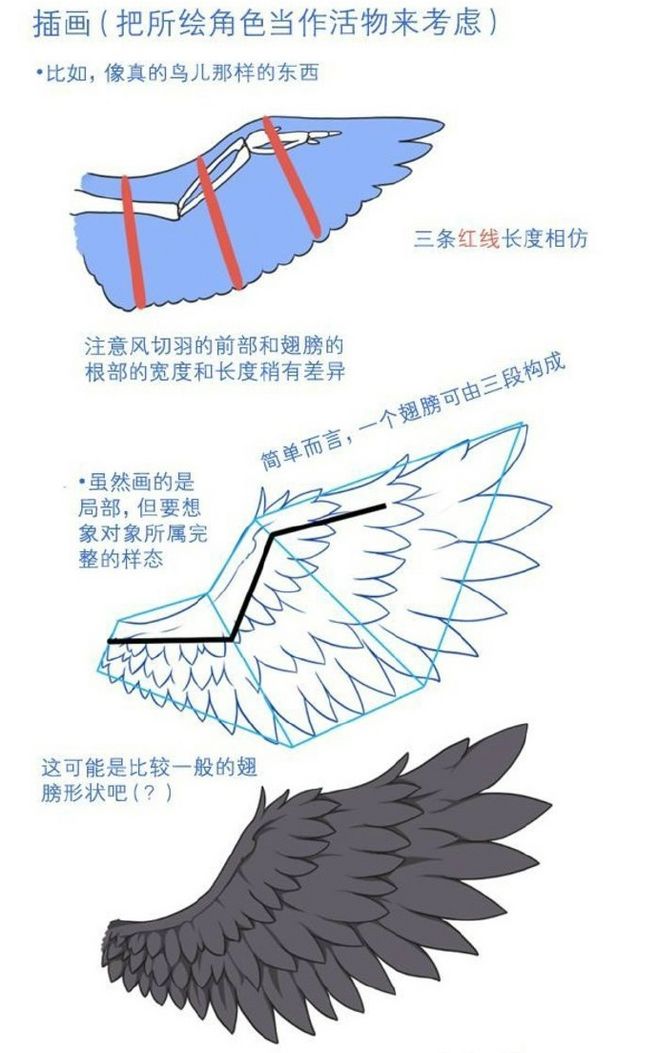 (8)在绘制羽毛的时候可以稍微画一些跑出来的羽毛,更郧俏皮.
