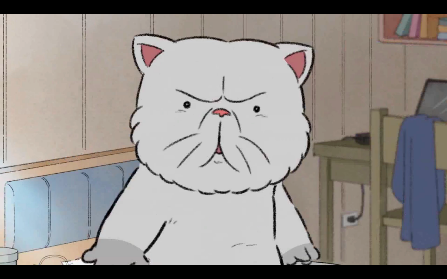 《我的邻居全是猫》:8种治愈角度解析,最后一个真没想到!
