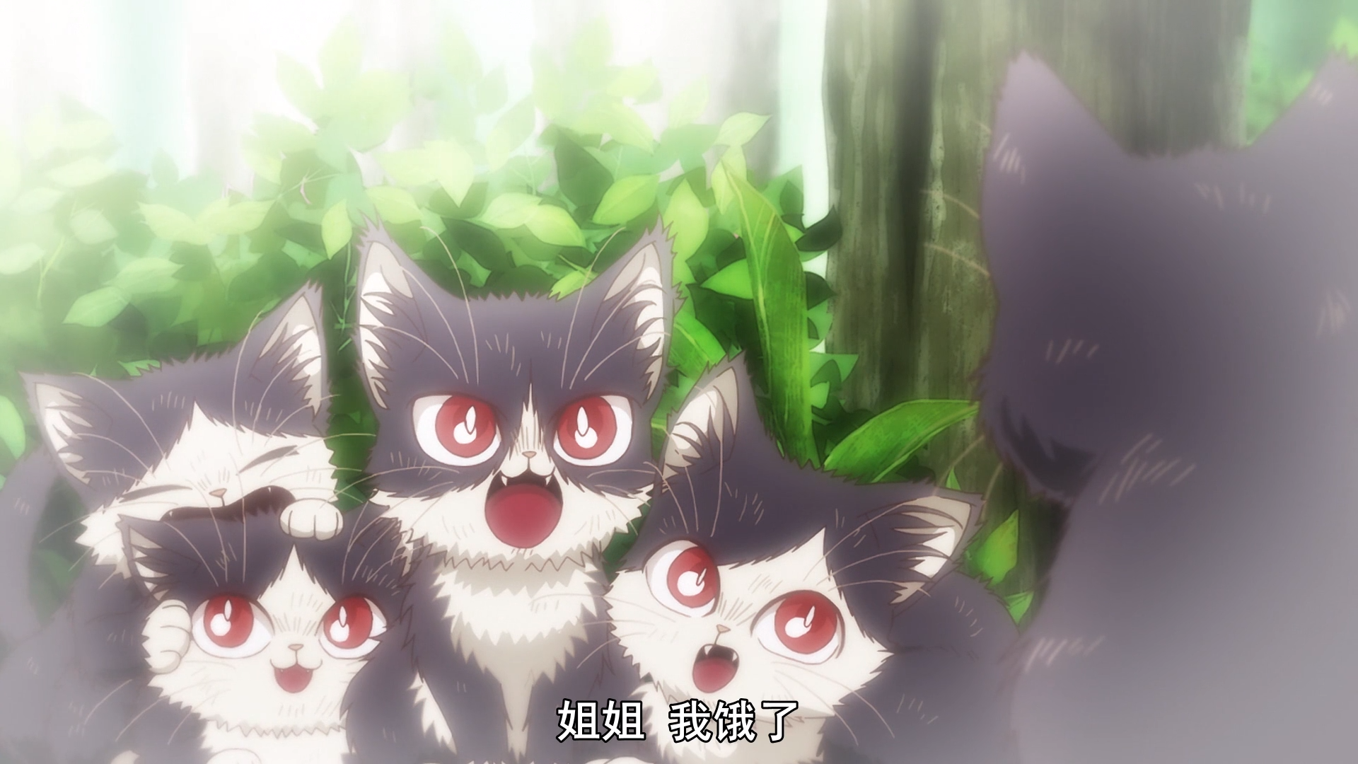 最萌新番《同居人是猫》治愈