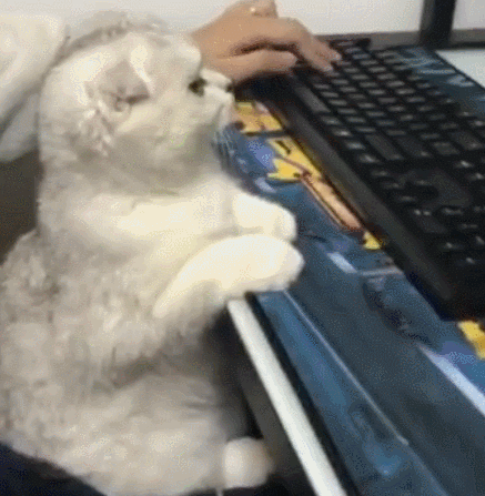 那些搞笑的gif(三十) - acfun弹幕视频网 - 认真你就