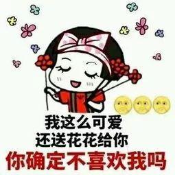 有钱,我就给你买猪饲料 每日表情包五