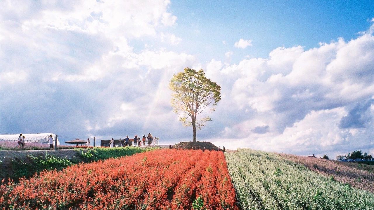 日语中有趣的习惯用语 Acfun弹幕视频网 认真你就输啦 W ノ つロ