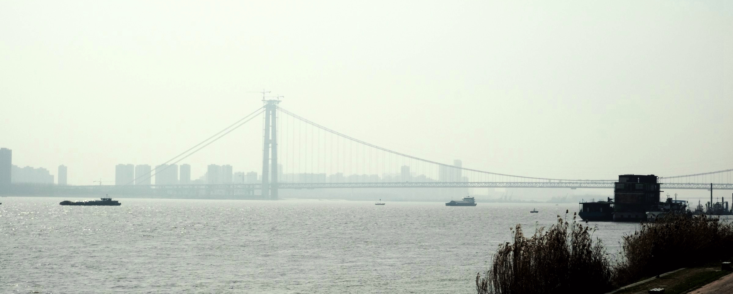从这里往上游看,还有一座正在施工的桥梁,这就是杨泗港大桥.