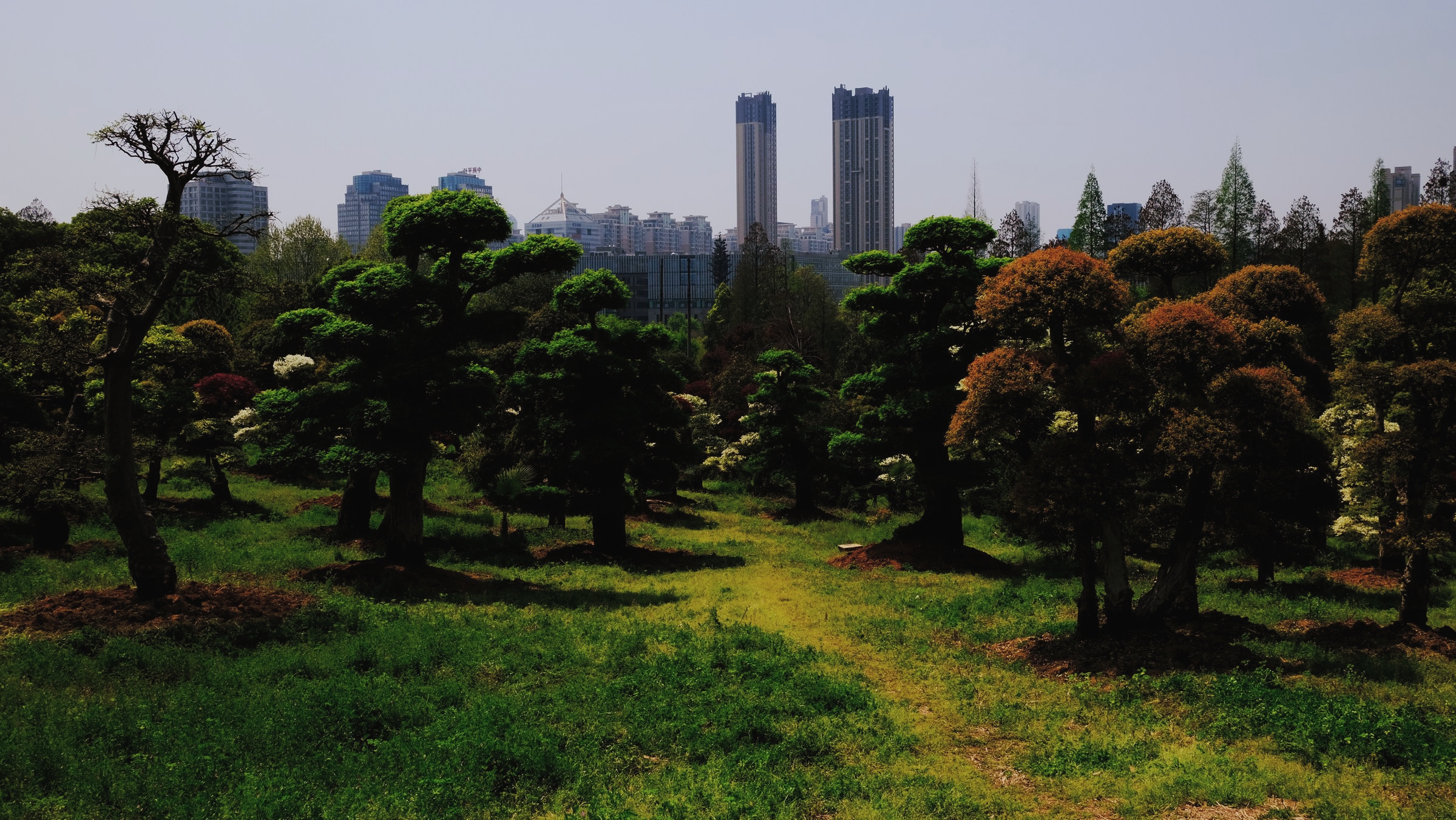 踏青马鞍山森林公园武汉