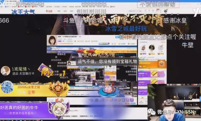 最惨熊猫年度冠军斗鱼首秀闹乌龙雨神助理被祭天