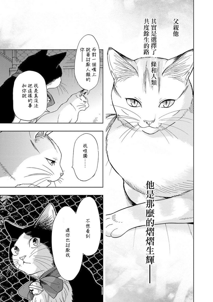 漫画流浪猫的一生08