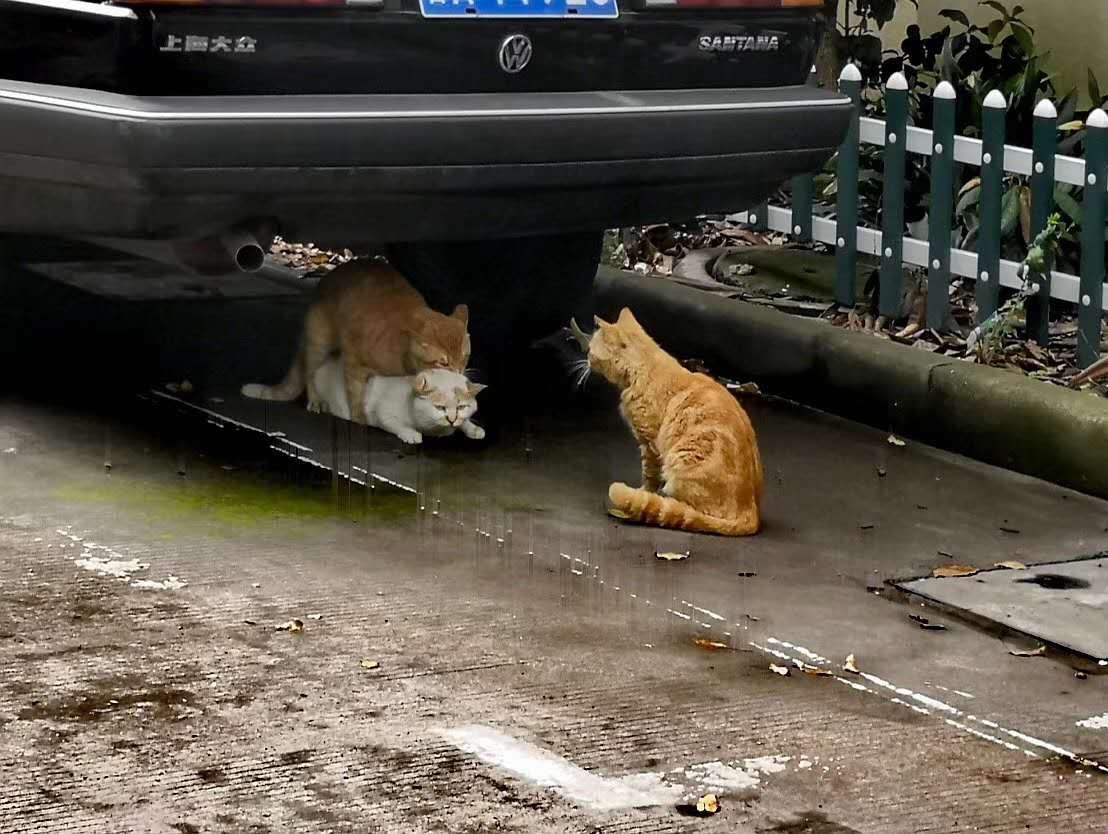 【今日囧图】以为在广东就有人叫你靓仔吗?